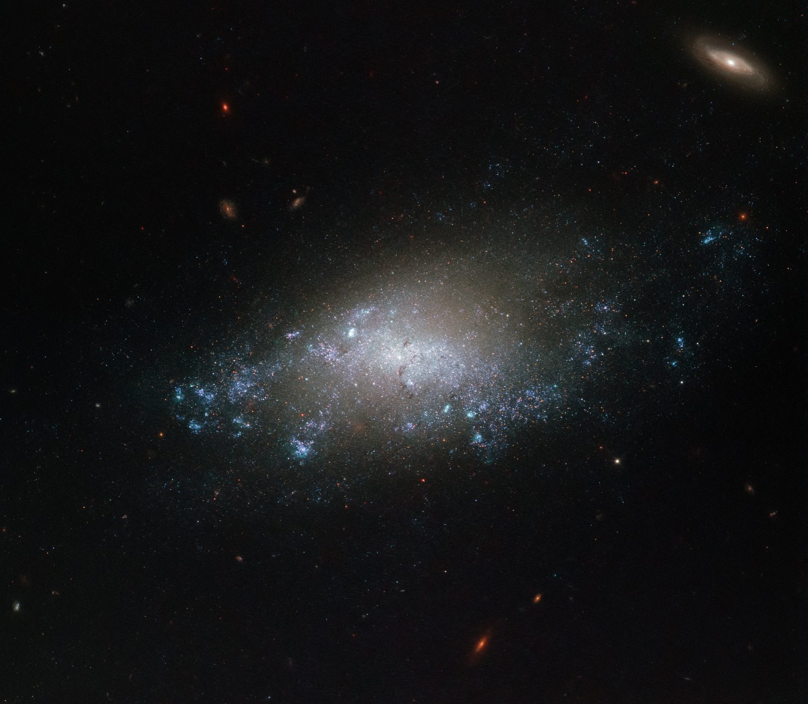 A Hubble Space Telescope view of the faint blue spiral galaxy NGC 3274 surrounded by scattered stars on a black background. Real NASA photograph used on the Ellis Abel Learns "Why I Love Astronomy" page.