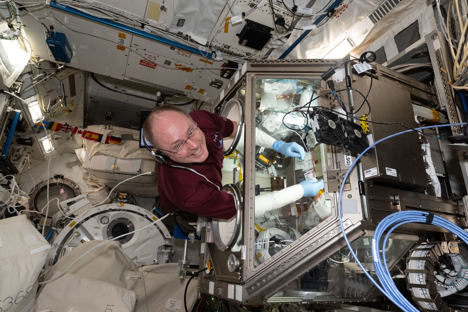 Astronaut Mike Fincke reaches into the sealed Life Science Glovebox to run a biology experiment aboard the space station's Kibo module. Real NASA photograph used on the Ellis Abel Learns "Why I Love Biology" page.