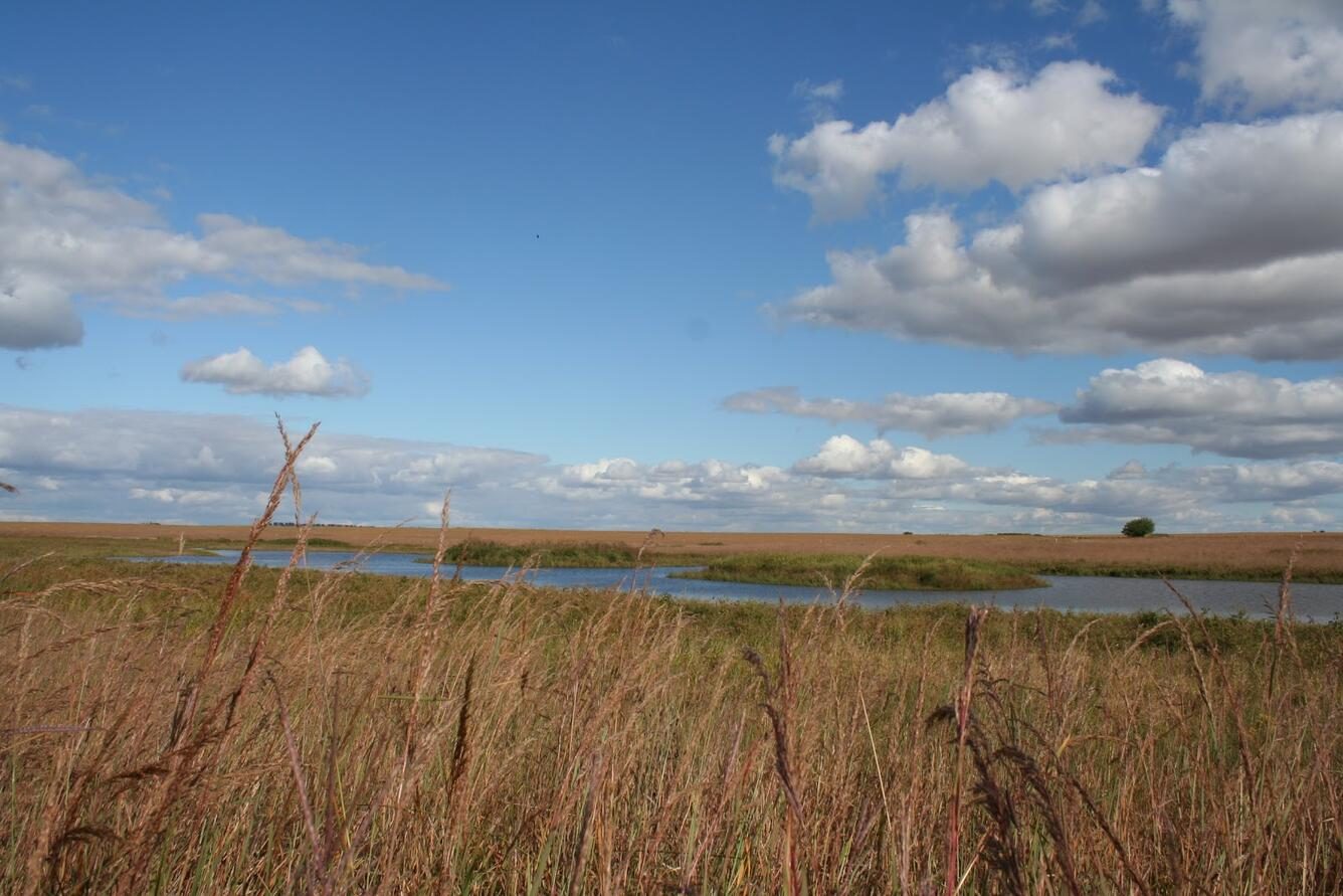 A cultivated agricultural field stretching to the horizon with a wetland strip along its edge. Real USGS photograph used on the Ellis Abel Learns "Why I Love Farming" page.