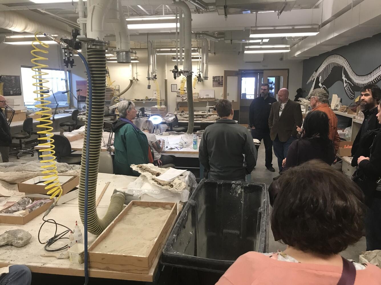 Someone working in Fossils — Ellis Abel Learns A group stands in the fossil preparation area of a paleontology research laboratory where specimens are cleaned and studied. Real USGS photograph used on the Ellis Abel Learns "Why I Love Fossils" page.
