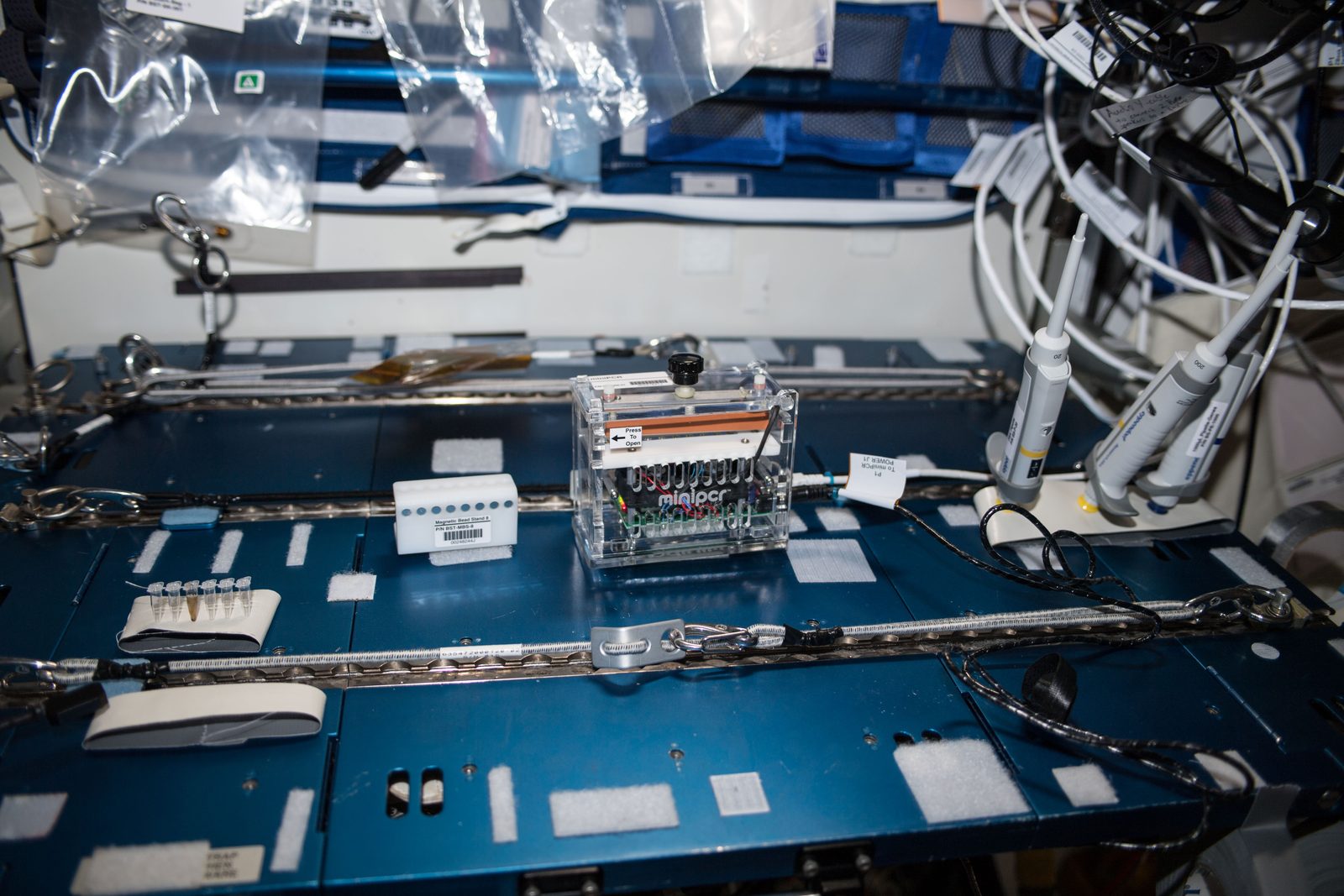 Astronaut Ricky Arnold processes swab samples of microbes collected from space station surfaces at a work station. Real NASA photograph used on the Ellis Abel Learns "Why I Love Germs" page.