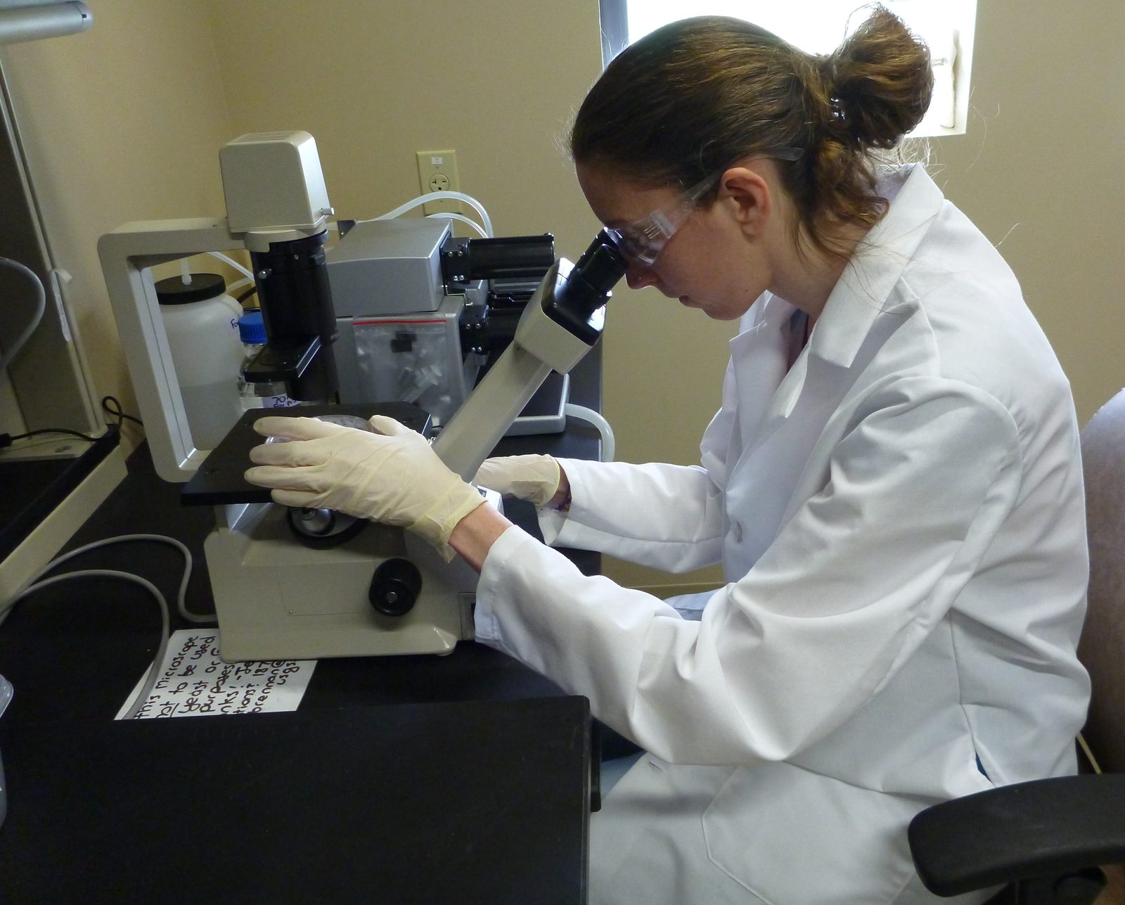 A scientist looks through a microscope at human breast cancer cells in a cell bioassay laboratory, with an automated liquid handling robot behind her. Real USGS photograph used on the Ellis Abel Learns "Why I Love Medicine" page.