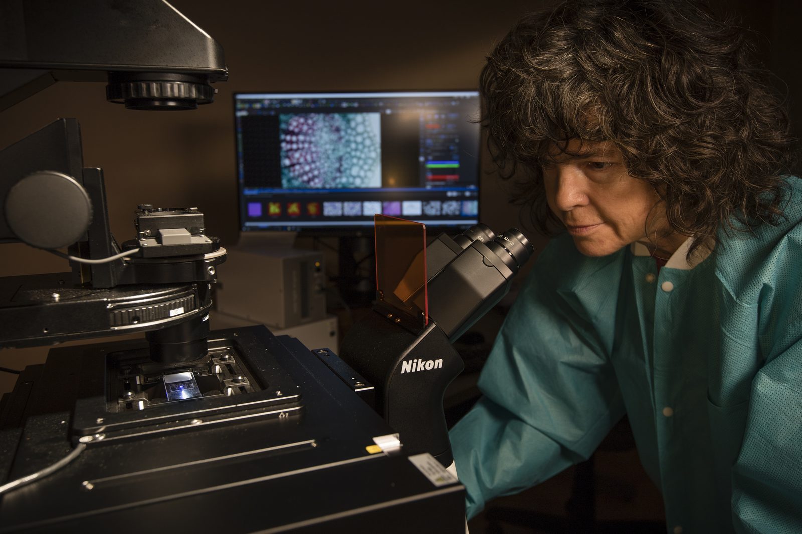 Someone working in Microscopes — Ellis Abel Learns Project scientist Anna Maria Ruby leans over a microscope to view samples in the Microgravity Simulation Support Facility at Kennedy Space Center. Real NASA photograph used on the Ellis Abel Learns "Why I Love Microscopes" page.