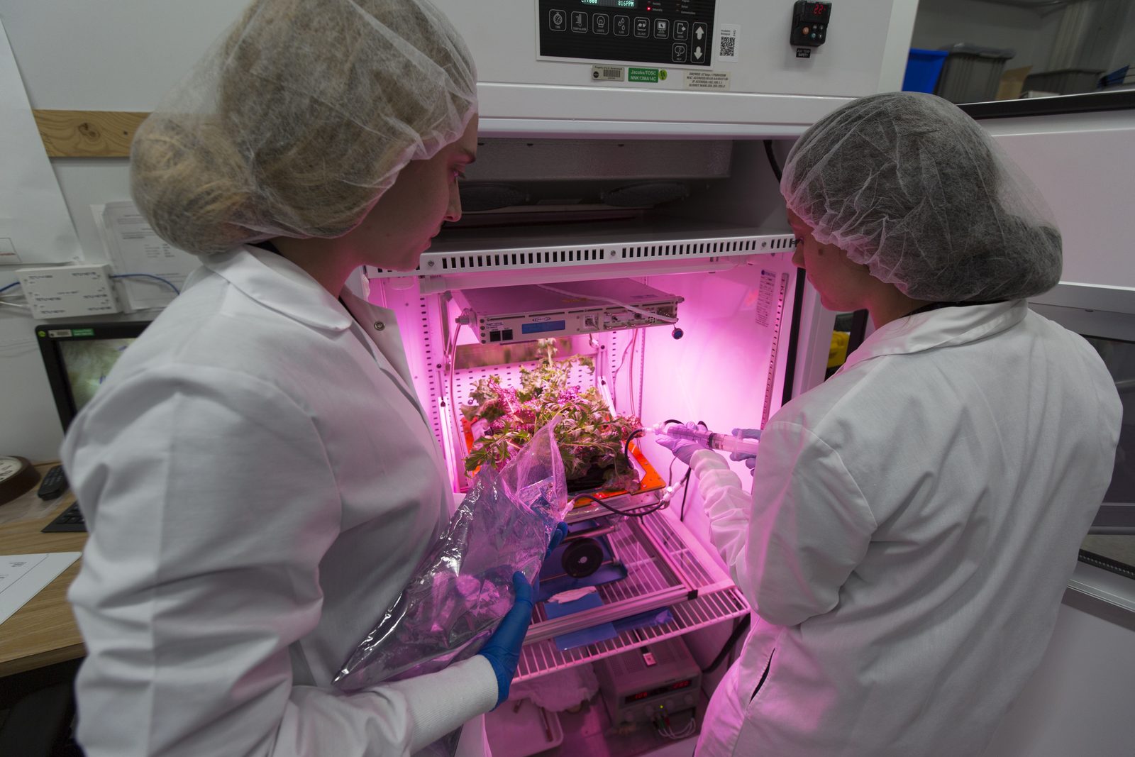 Someone working in Plants — Ellis Abel Learns NASA interns Jessica Scotten and Ayla Grandpre water young plants in the Veggie growth chamber at Kennedy Space Center. Real NASA photograph used on the Ellis Abel Learns "Why I Love Plants" page.