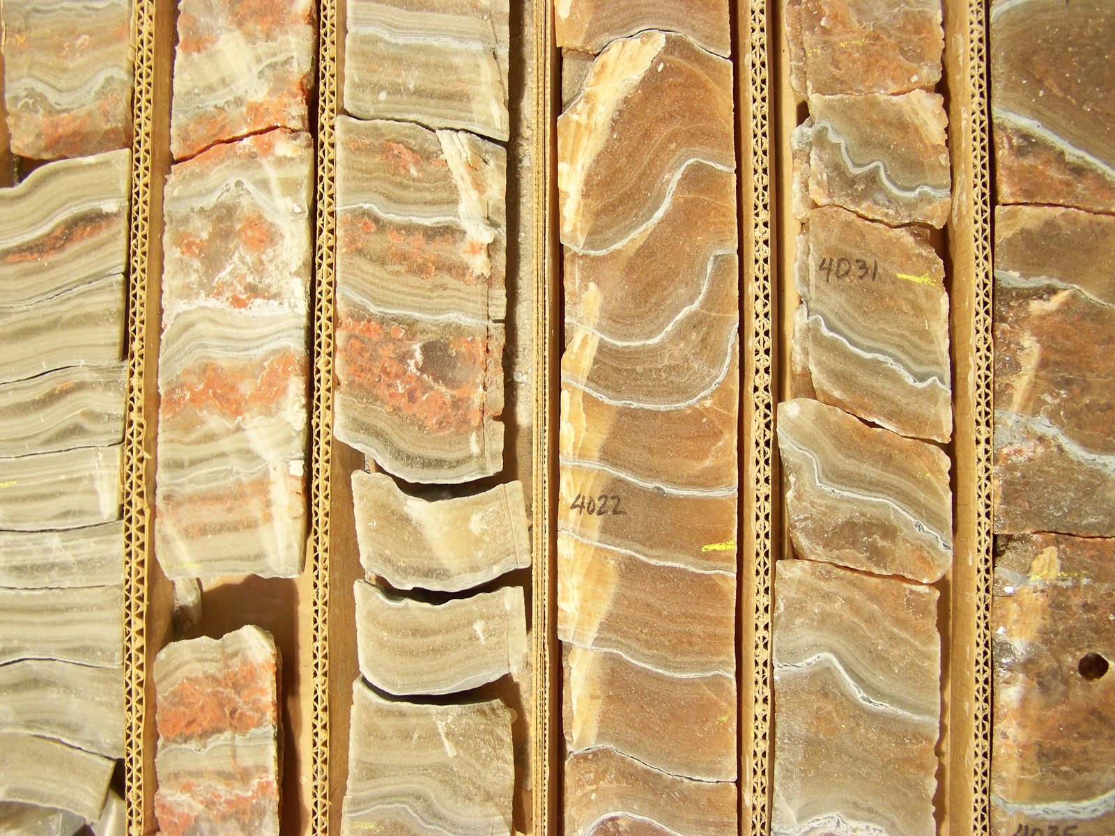 Cylindrical rock cores laid out in trays at the USGS Core Research Center, showing bands of different rock layers. Real USGS photograph used on the Ellis Abel Learns "Why I Love Rocks" page.